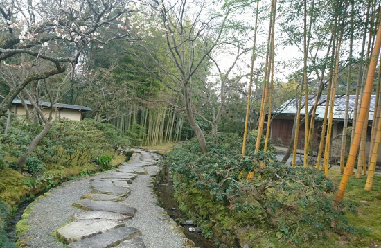 松花堂庭園の竹その２