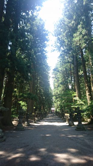 北口本宮冨士浅間神社参道