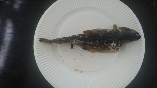 岩魚の塩焼き