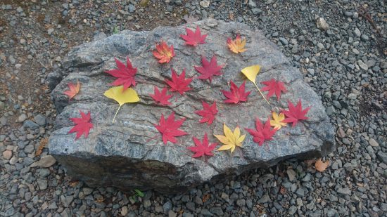 石道寺石の上の紅葉