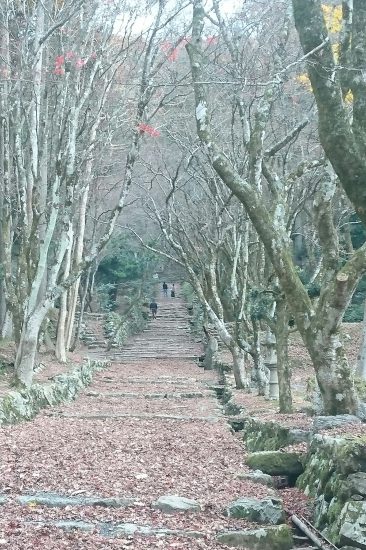 鶏足寺手前