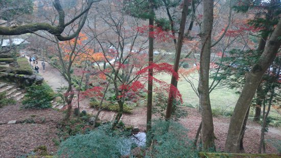 石道寺鶏足寺方面