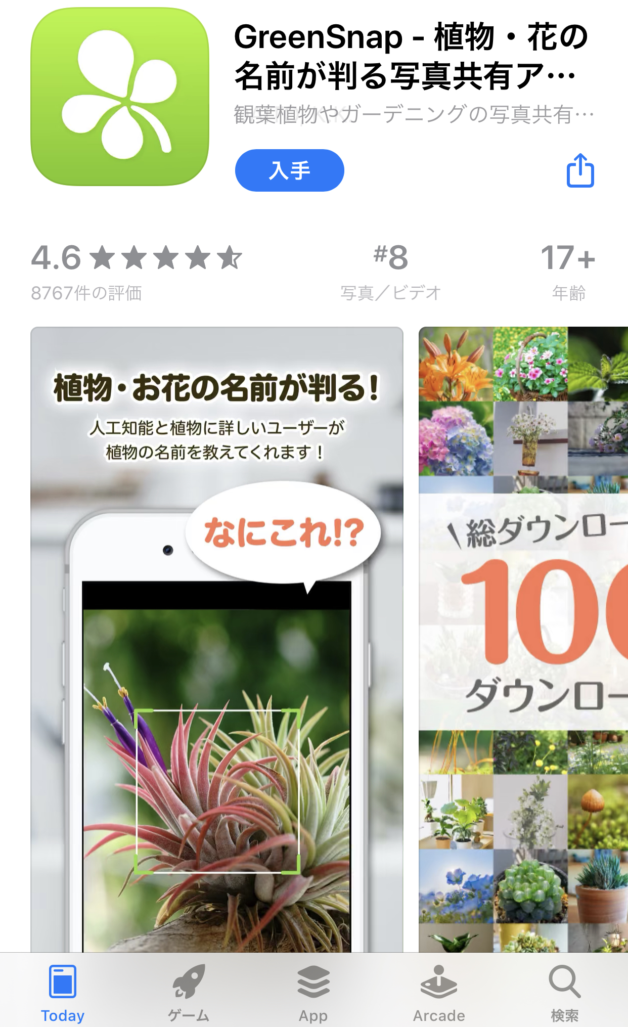 植物が身近になるアプリ Green Snap 画像で花の名前を調べられる機能が面白いです Tax And The Sake