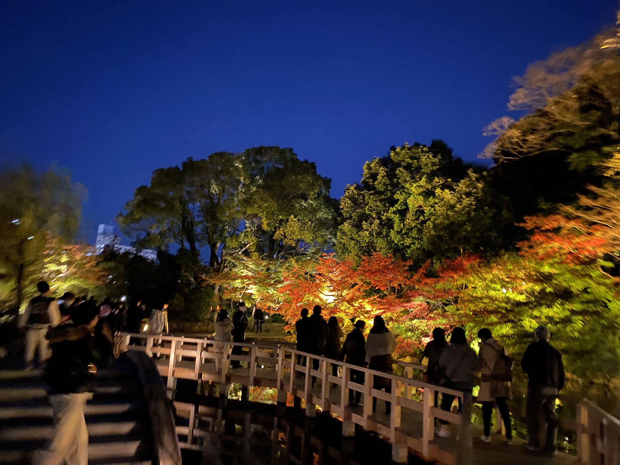 徳川園紅葉祭 紅葉ライトアップがとてもきれいでした Tax And The Sake 徳川園紅葉祭 紅葉ライトアップがとてもきれいでした Tax And The Sake