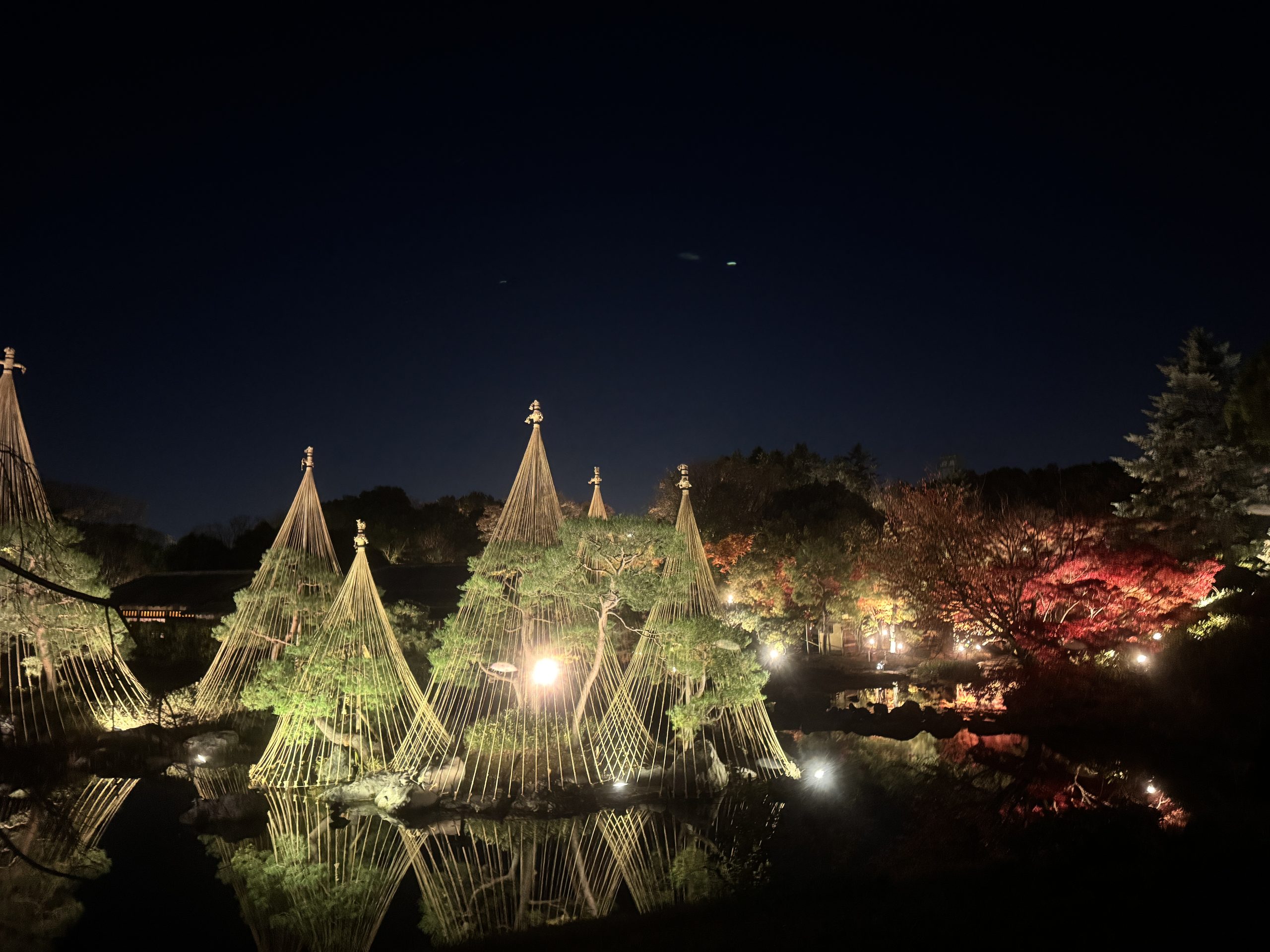 白鳥庭園の紅葉ライトアップに行きました - TAX AND THE SAKE